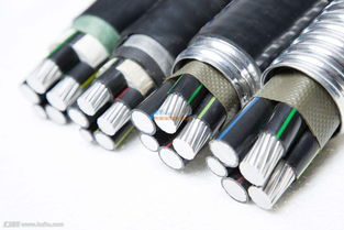 沈陽與通化電力電纜 優(yōu)質(zhì)選擇與區(qū)域特色解析